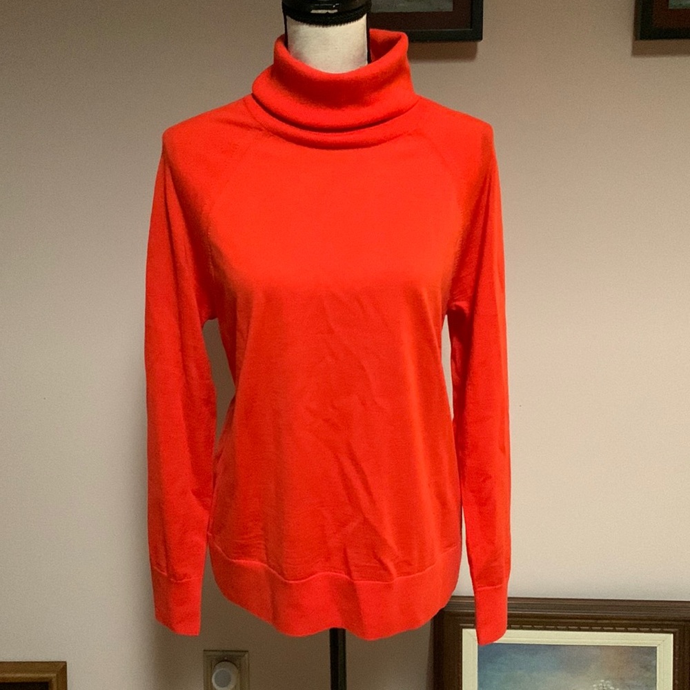Banana Republic Merino Wool Turtle Neck